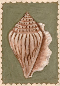 Olive Seashell fine art print